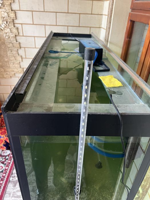 Akvaryum sotiladi 500 litr