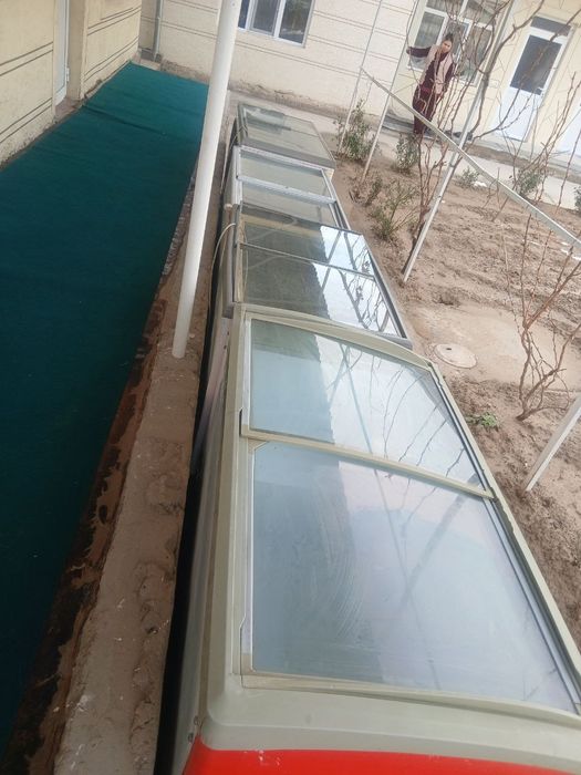 Marazelkalar sotiladi