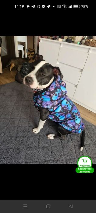 Жилетка для собачки, xl ,3xl