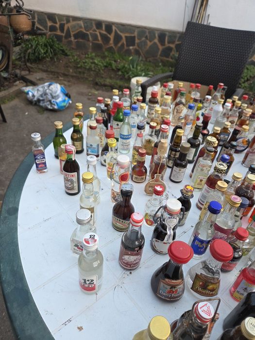 колекция от шишенца с алкохол