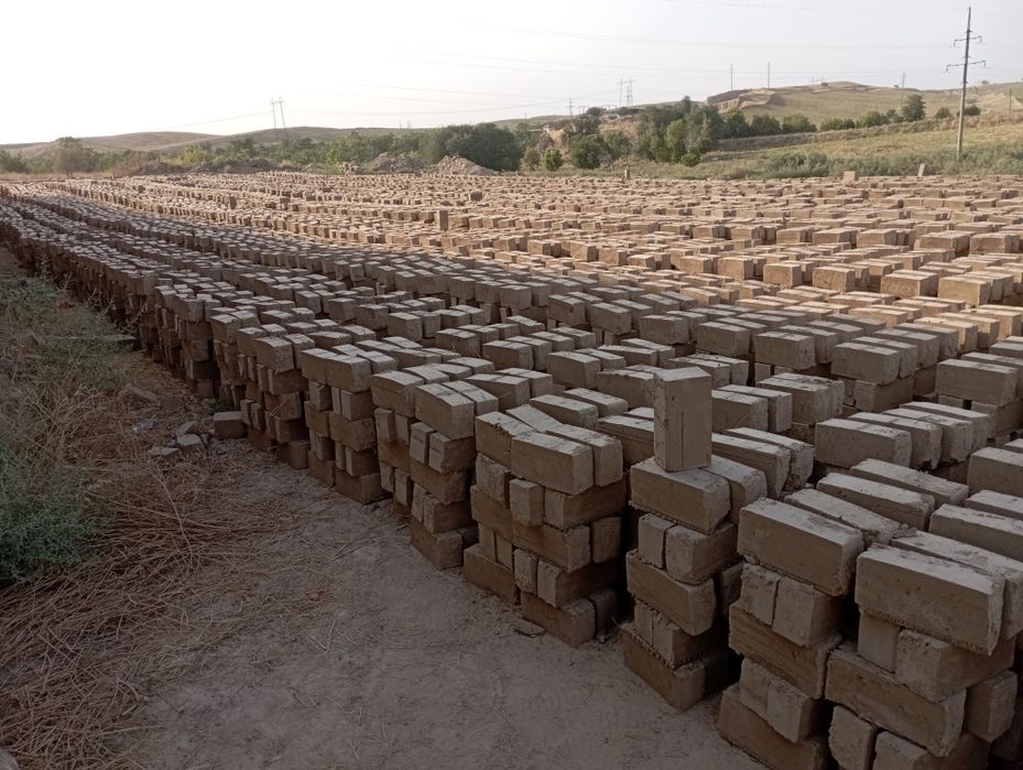 Xom va pishkan g'isht