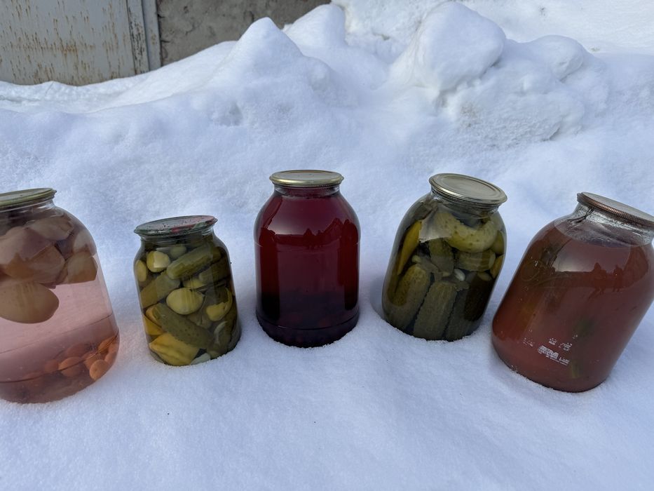 солёные огурцы помидоры