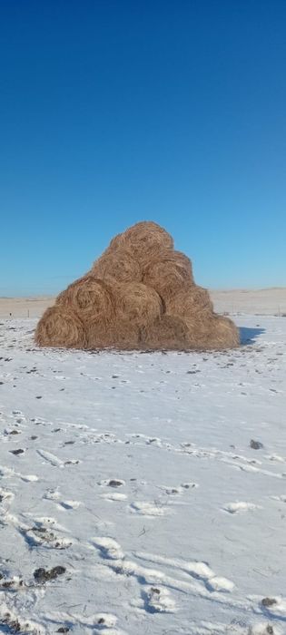 Продам сено в рулонах