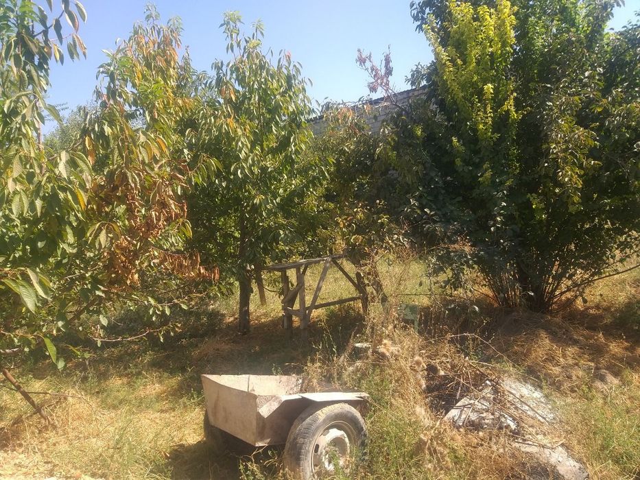 Yer sotiladi. Zudlik bilan.