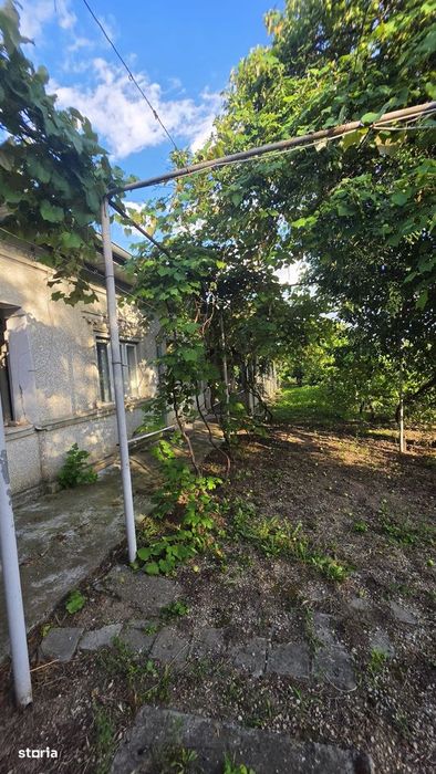 Casă cu potențial, 4 camere, lângă pădure-Jud Giurgiu-Mihai Bravu.