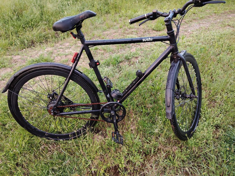 Bicicleta electrica