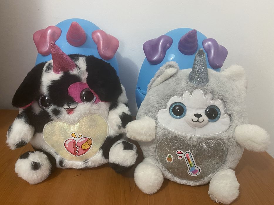 Rainbocorns catelusii