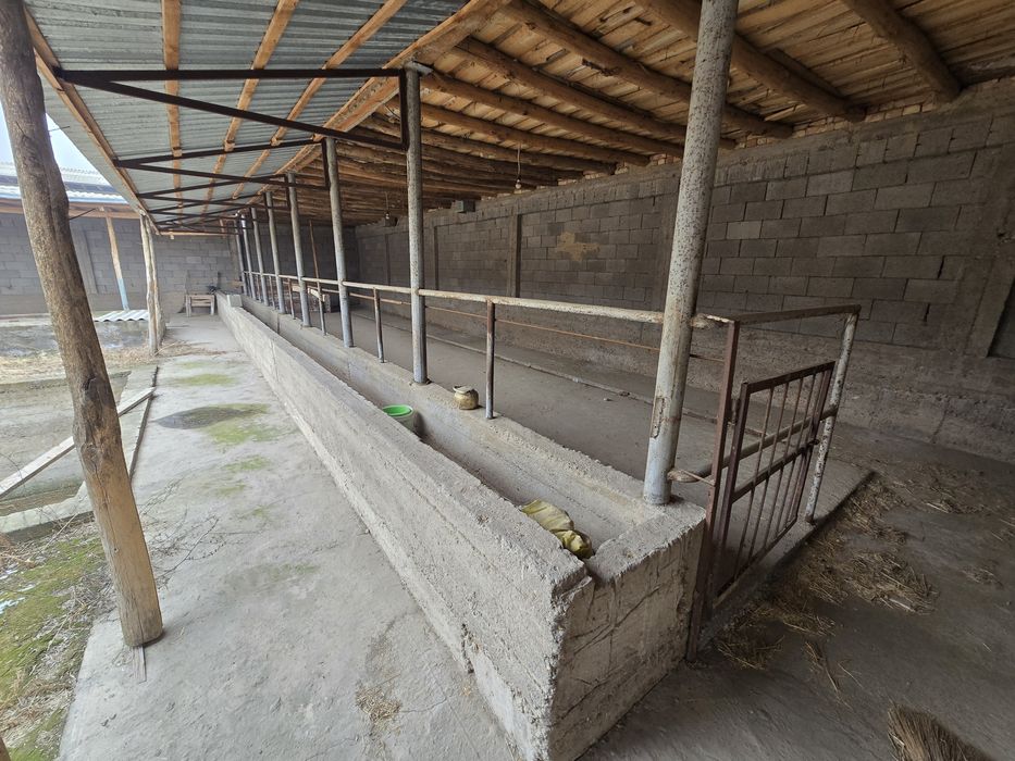 Joy sotiladi  Yoshlik M.F.Y Jiyda ko'chadan