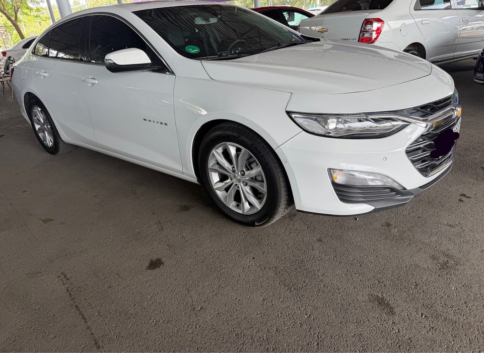 Other Malibu 2018 — 3