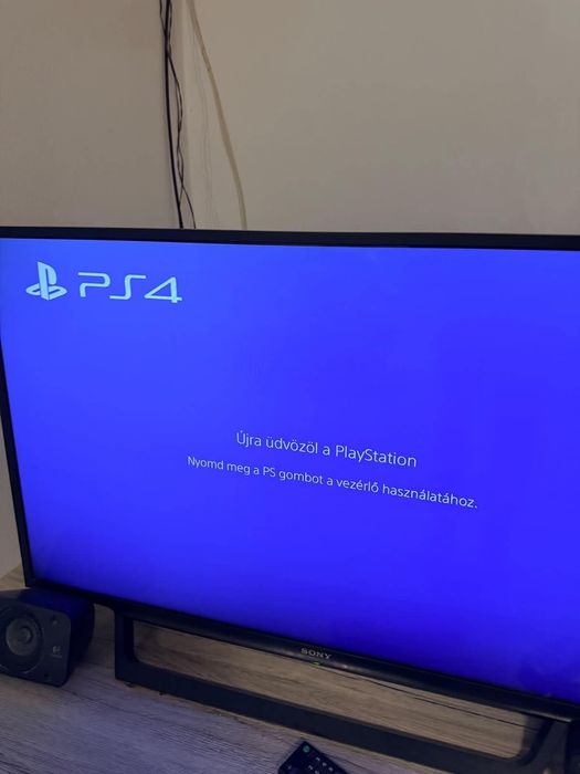 PlayStation 4 500GB