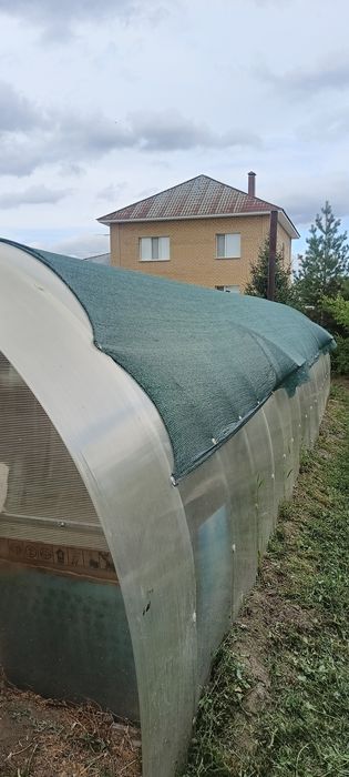 Теплица для выращивания культуры