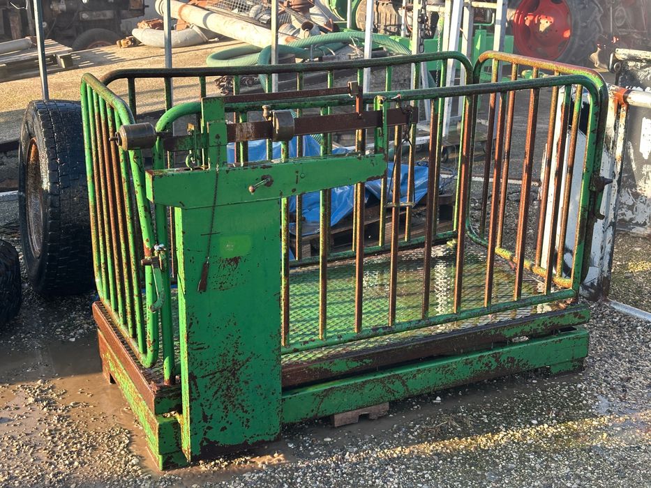 Cantar animale bovine/ovine