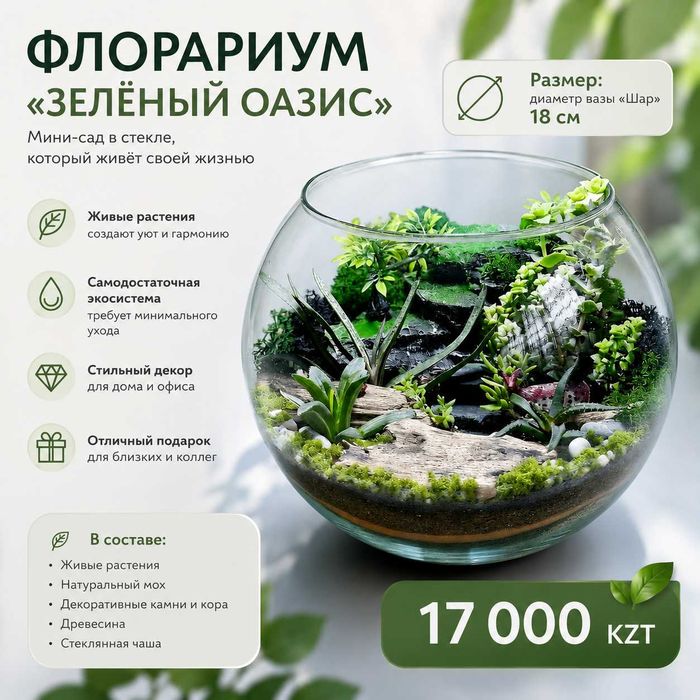 Флорариум, суккуленты