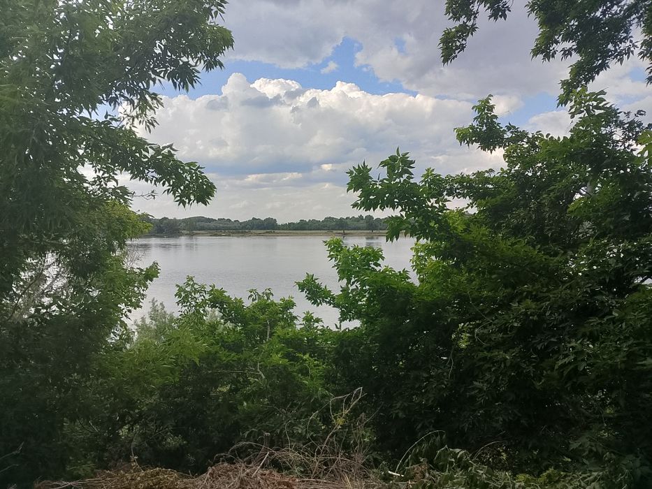 Продам дом, участок 25 соток