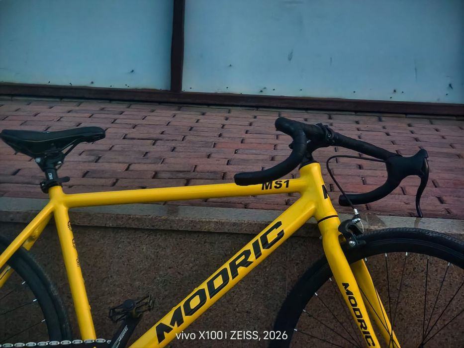 Fixed gear fixie