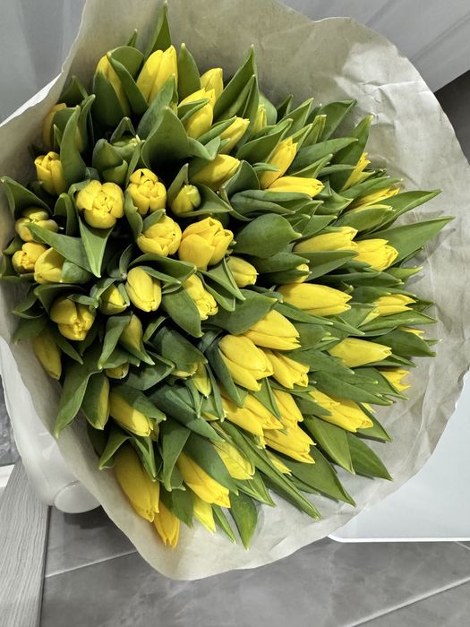 Тюльпаны Голландия