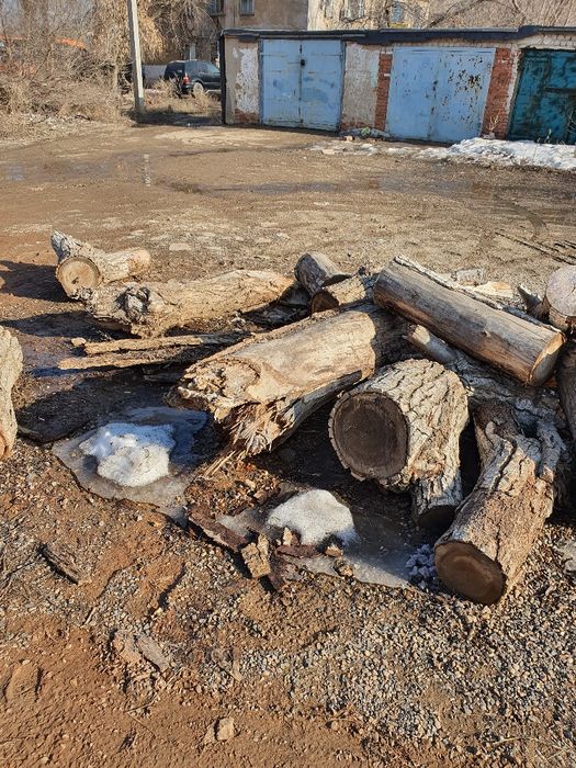 Отдам дрова за шоколад.