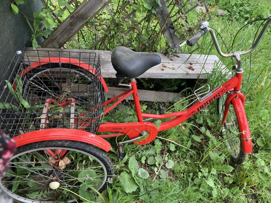 Tricicletă adulți Pegas