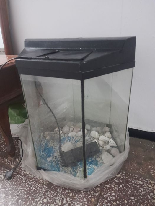 Acvariu hexagonal cu pompă de oxigen