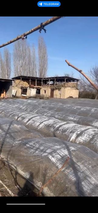 Земельный участок