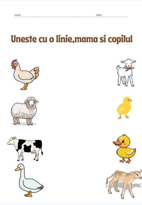 Fișe de lucru pentru copii