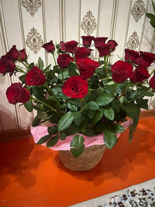 Цветы Гул срошна сатылады