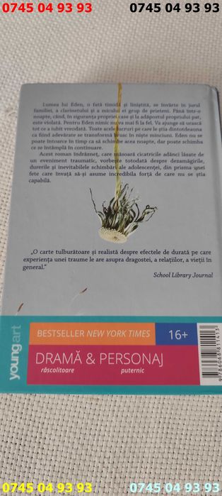 carte carti Cum eram candva Amber Smith cartonata