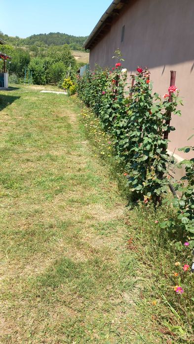 Casa de inchiriat in loc. Coroi