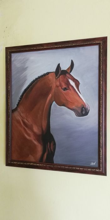 Картини с коне,хищни котки,цветя,маслени бои на платно