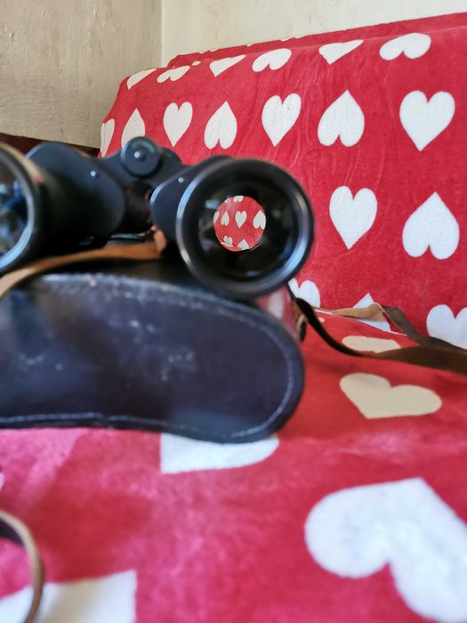 Binoclu URSS BPC 7x50