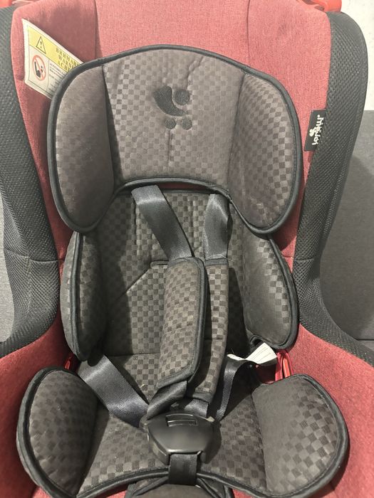 Автокресло фирмы Lorelli premium