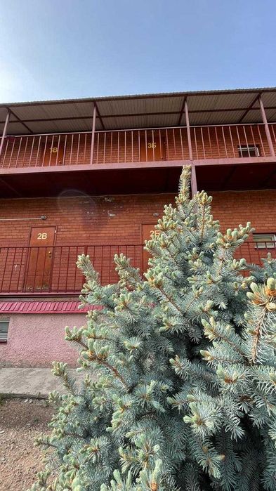 Продам действующий бизнес