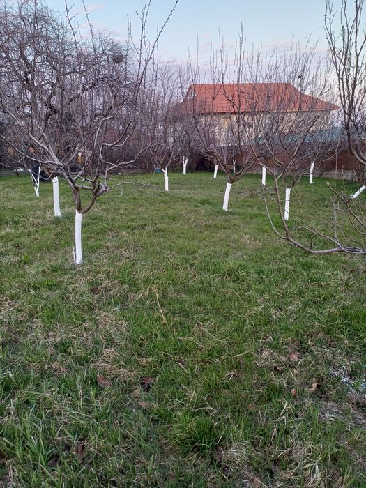 Teren intravilan de vânzare