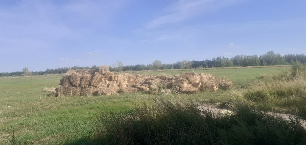 Участок под сенокошение