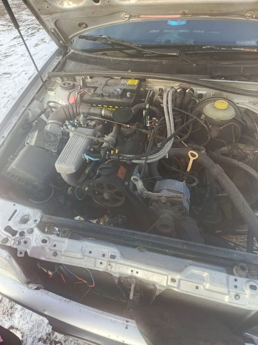 Продам резвую лошадку