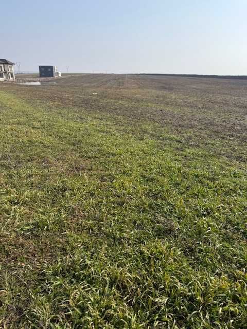Teren extravilan Pielesti, 10000mp
