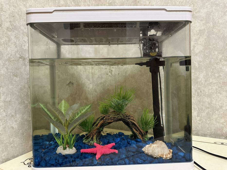 Akvarium sotiladi