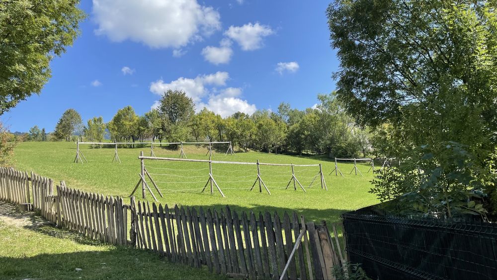 Teren intravilan Borșa MM (Poiana)