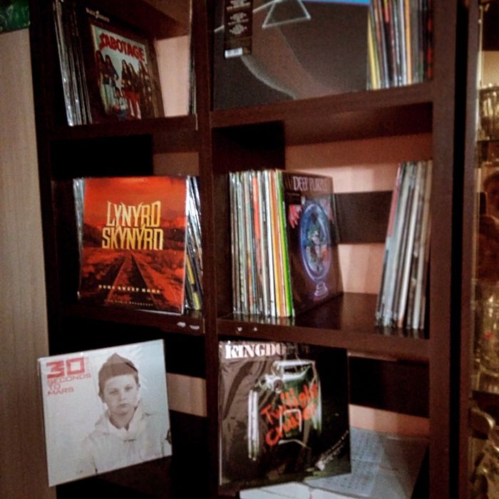 Фирменные виниловые пластинки