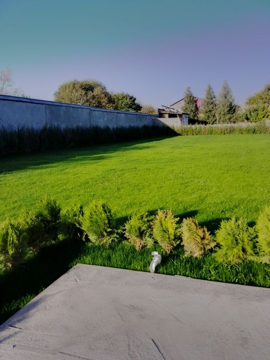 Gazon ekish landshaft dizayni