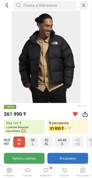 The north face nuptse 700