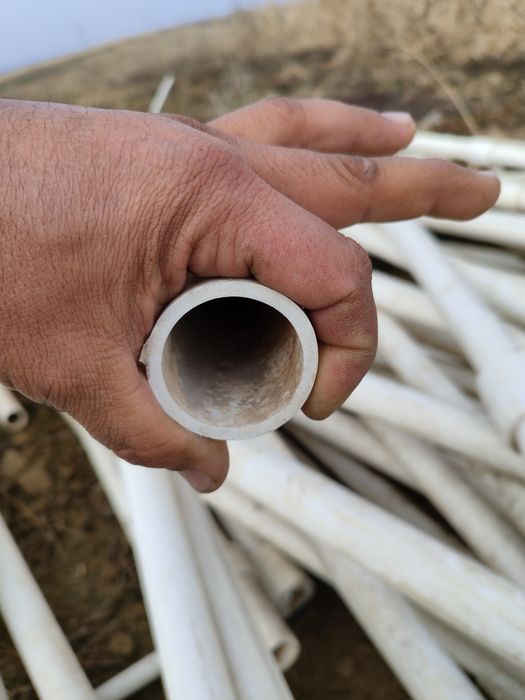 Shlanka 50 li yahshi