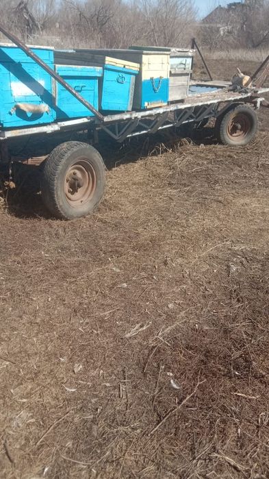 Прицеп пчеловодный