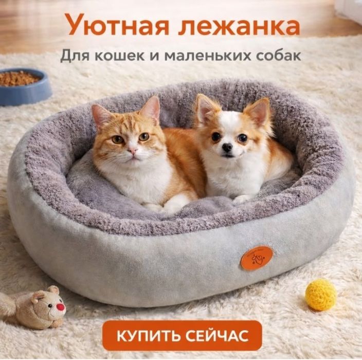 Для кошки миска лежак и. д