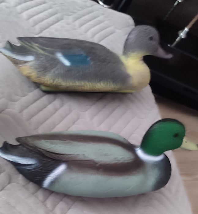 Чучела уток 13 штук.