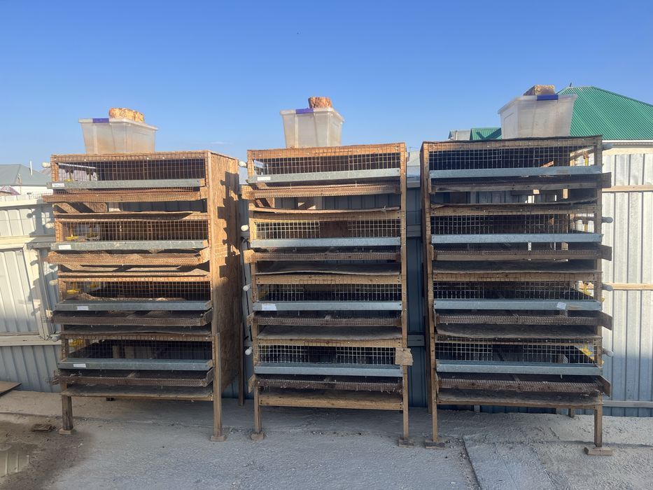 Бөдене асырауға клеткалар