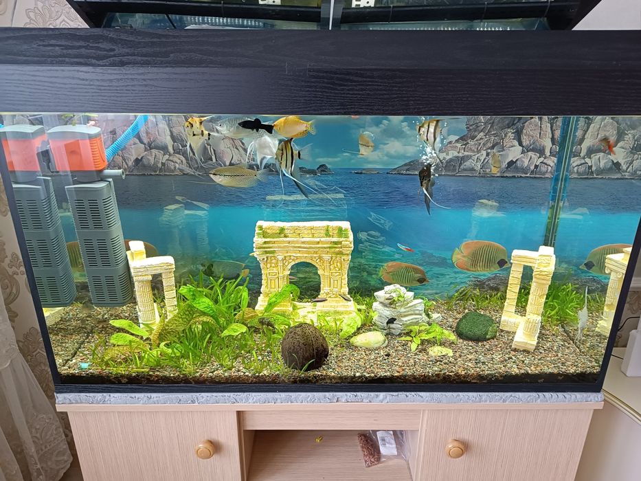 Продам аквариум 200 литров