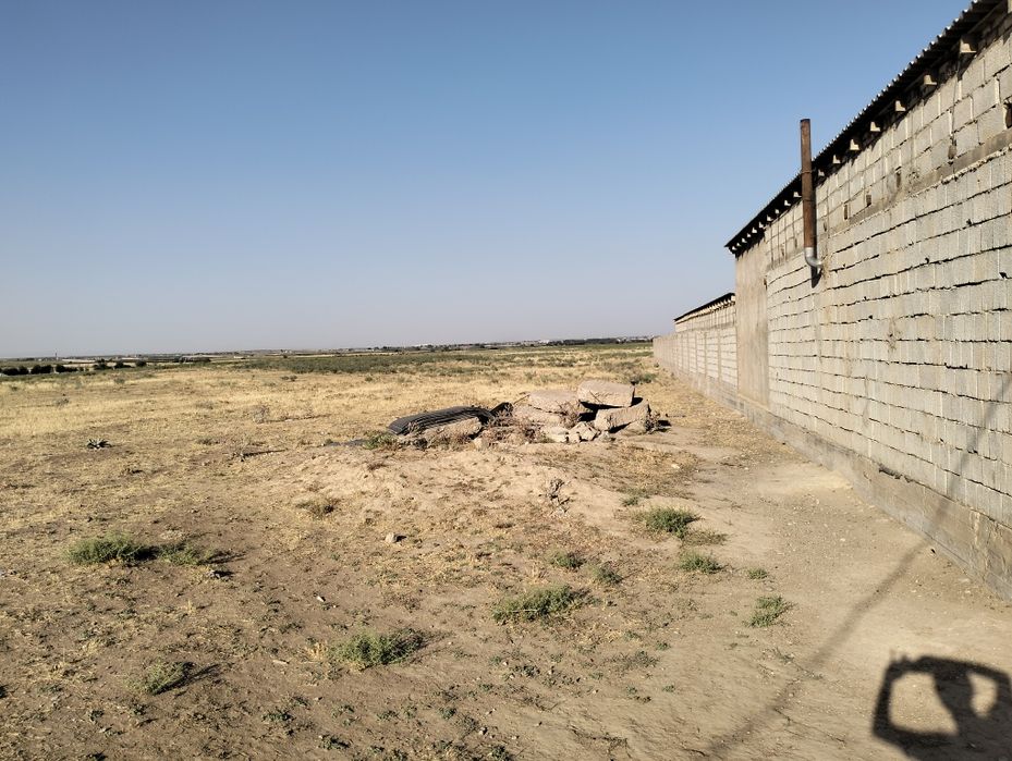 Кора қора фазенда