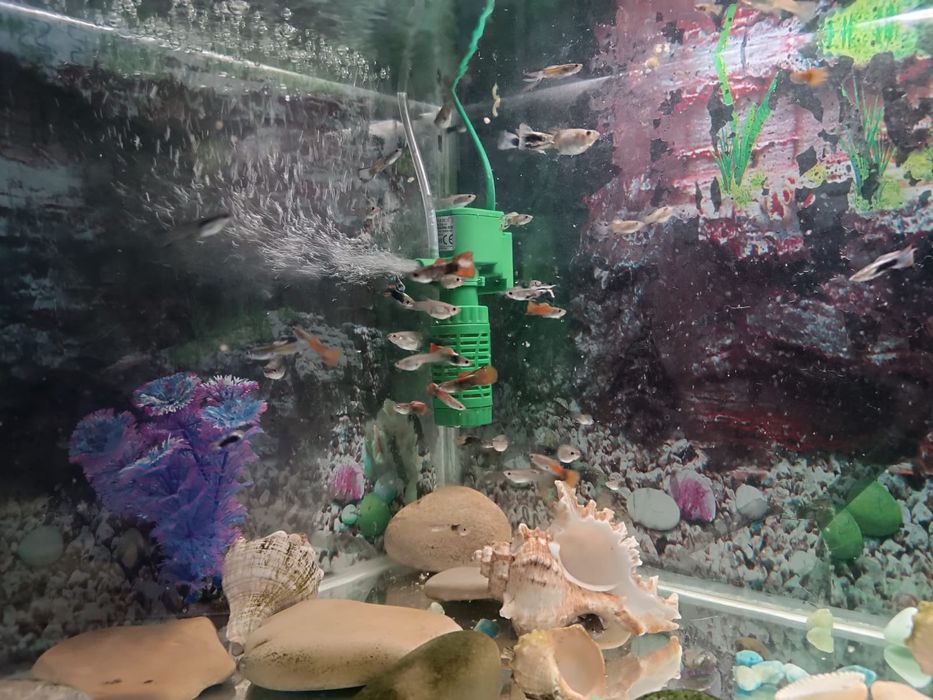 Продам аквариум 50 литров