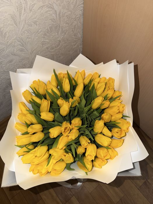 Цветы   тюльпаны